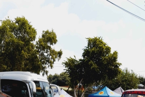 Johannesburg: tour privato del quartiere di Soweto e del Museo dell'Apartheid