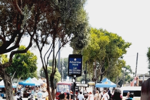 Johannesburg: tour privato del quartiere di Soweto e del Museo dell'Apartheid