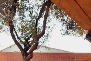 Johannesburg: tour privato del quartiere di Soweto e del Museo dell'Apartheid