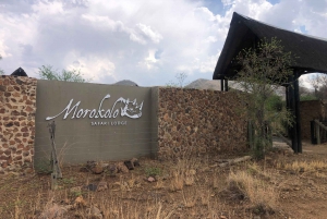 ヨハネスブルグサンシティ＆ピラネスバーグ国立公園日帰りツアー