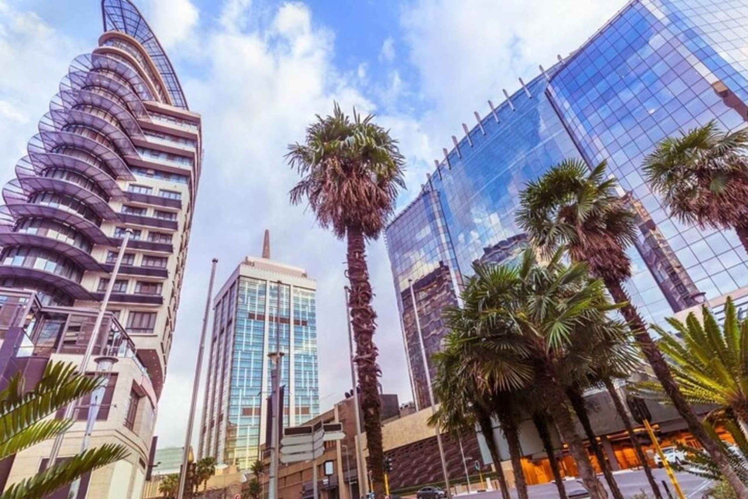 Johannesburgo: Visita personalizada a pie con un guía local