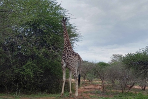 Park Narodowy Krugera – 2 dni