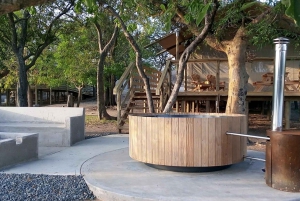 Kruger National Park: 3 Day Safari Tour