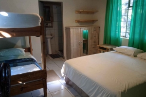 Kruger National Park: 3 Day Safari Tour