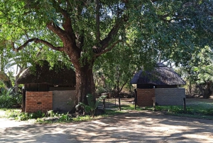 Kruger National Park: 3 Day Safari Tour