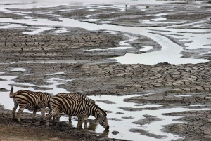 Kruger National Park: 3 Day Safari Tour
