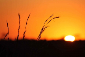 Parque Nacional Kruger - Safari de 5 días