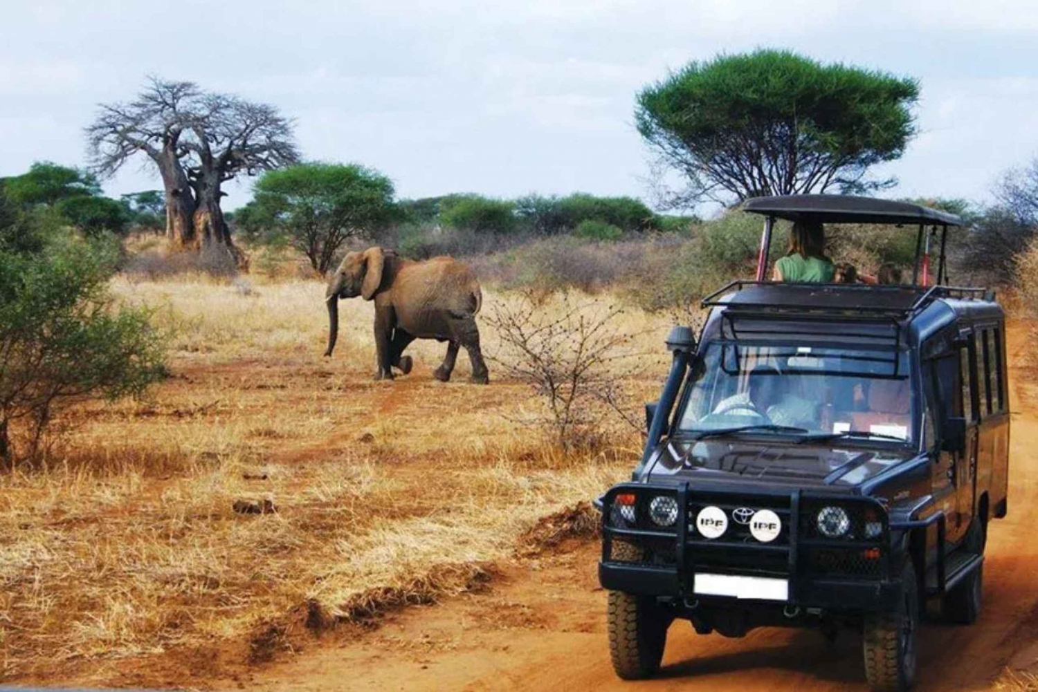 Kruger National Park & Blyde River Canyon 4 dages safari