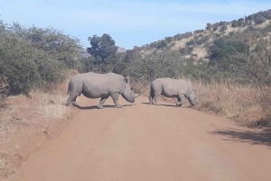 Экскурсия по национальному парку Крюгера 4 дня-3 ночи (открытый сафари на автомобиле)