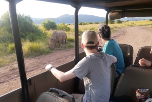 Экскурсия по национальному парку Крюгера 4 дня-3 ночи (открытый сафари на автомобиле)