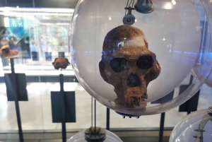 Vila Cultural Lesedi e Museu de Fósseis de Maropeng, Cradl