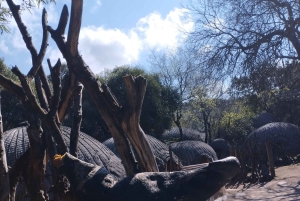 Lesedin kulttuurikylän puolen päivän retki