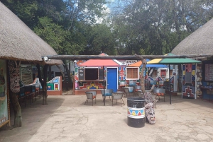 Tur til Lesedis kulturelle landsby