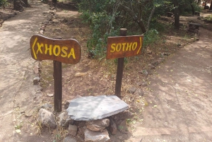 Tur til Lesedis kulturelle landsby