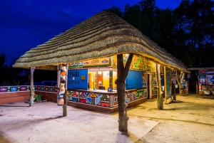 Lesedin kulttuurikylä