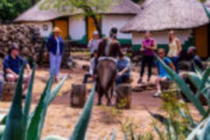 Lesedin kulttuurikylä