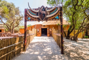 Lesedin kulttuurikylä