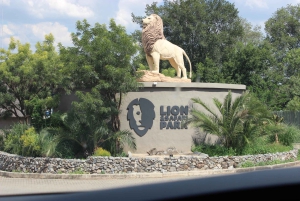 løvepark: Safari Adventure