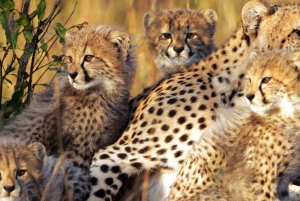 Pilanesberg Park, Ondersteboven Huis & Lesedi Cultureel Dorp