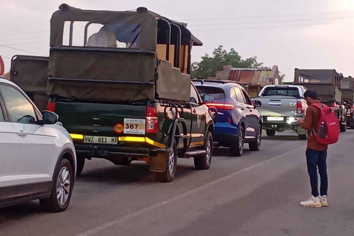 PILANESSBURG SAFARI DE DIA INTEIRO