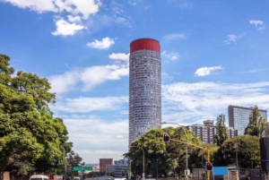 Johannesburg: Dagvullende tour met Gold Reef City Themapark