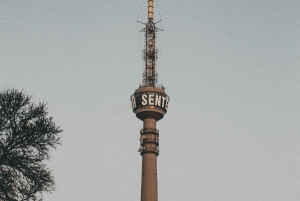 Johannesburg: Dagvullende tour met Gold Reef City Themapark