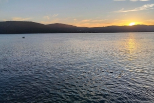 Port Elizabeth: 11-Day Safari & Culture Tour to Joburg