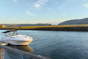 Port Elizabeth: 11-Day Safari & Culture Tour to Joburg