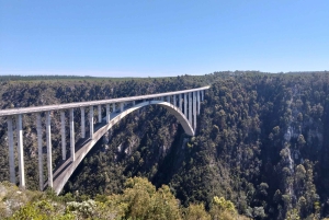 Port Elizabeth: 11-Day Safari & Culture Tour to Joburg