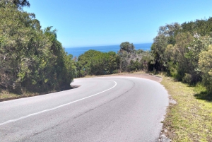 Port Elizabeth: 11-Day Safari & Culture Tour to Joburg