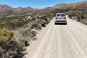 Port Elizabeth: 11-Day Safari & Culture Tour to Joburg