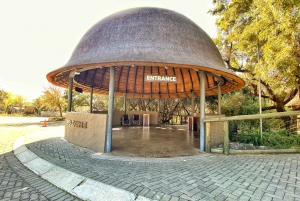 Pretoria: Visita a la ciudad de Pretoria y al Parque de los Leones