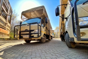 Pretoria: Visita a la ciudad de Pretoria y al Parque de los Leones