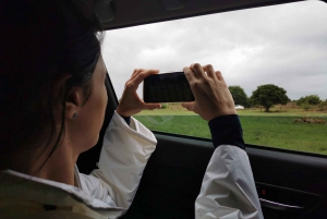 Tour di Pretoria - Monumento ai viaggiatori, città, Union Buildings