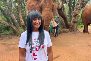 Johannesburg: Halbtagestour zum Elefanten- und Affenschutzgebiet