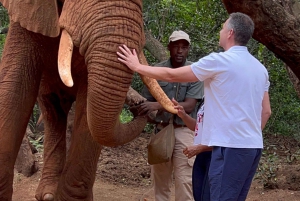 Johannesburg: Halbtagestour zum Elefanten- und Affenschutzgebiet