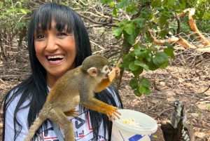 Johannesburg: Halbtagestour zum Elefanten- und Affenschutzgebiet