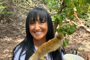 Johannesburg: Halbtagestour zum Elefanten- und Affenschutzgebiet