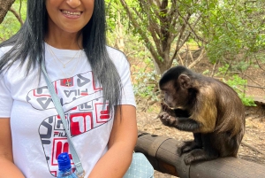 Johannesburg: Halbtagestour zum Elefanten- und Affenschutzgebiet