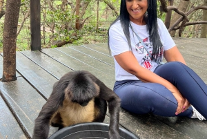 Johannesburg: Halbtagestour zum Elefanten- und Affenschutzgebiet