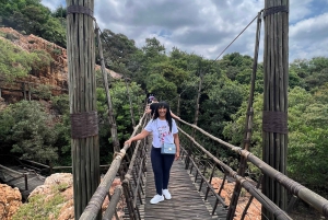 Johannesburg: Halbtagestour zum Elefanten- und Affenschutzgebiet