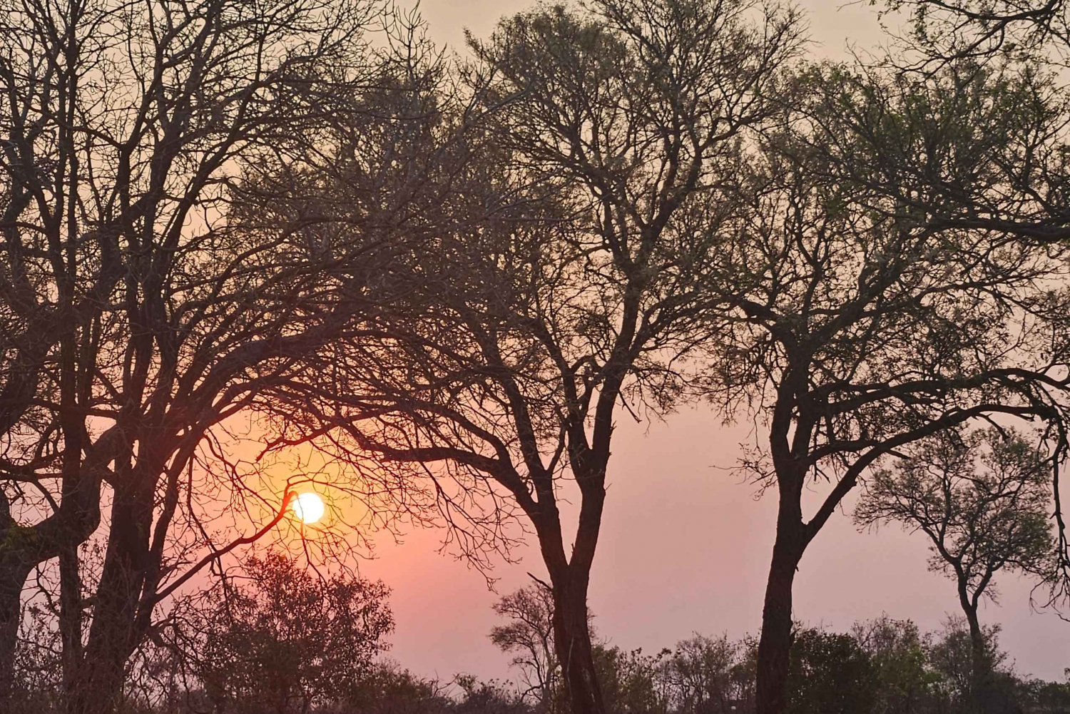 Privat safaritur: Pilansberg National Park Big 5