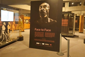 Johannesburg: Maropengin museo: Sarvikuono- ja leijonapuiston safari ja Maropengin museo