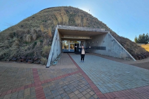 Johannesburg: Maropengin museo: Sarvikuono- ja leijonapuiston safari ja Maropengin museo