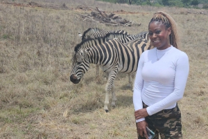 Johannesburg: Maropengin museo: Sarvikuono- ja leijonapuiston safari ja Maropengin museo