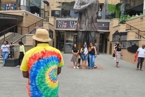 Johannesburg: Maropengin museo: Sarvikuono- ja leijonapuiston safari ja Maropengin museo