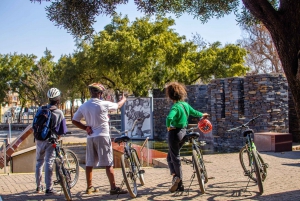 Soweto: Guided Bicycle Tour with Lunch