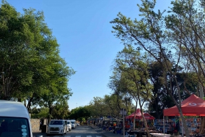 Rundvisning i Soweto Township