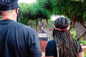 Soweto: Walking Tour with a Local Guide and Lunch