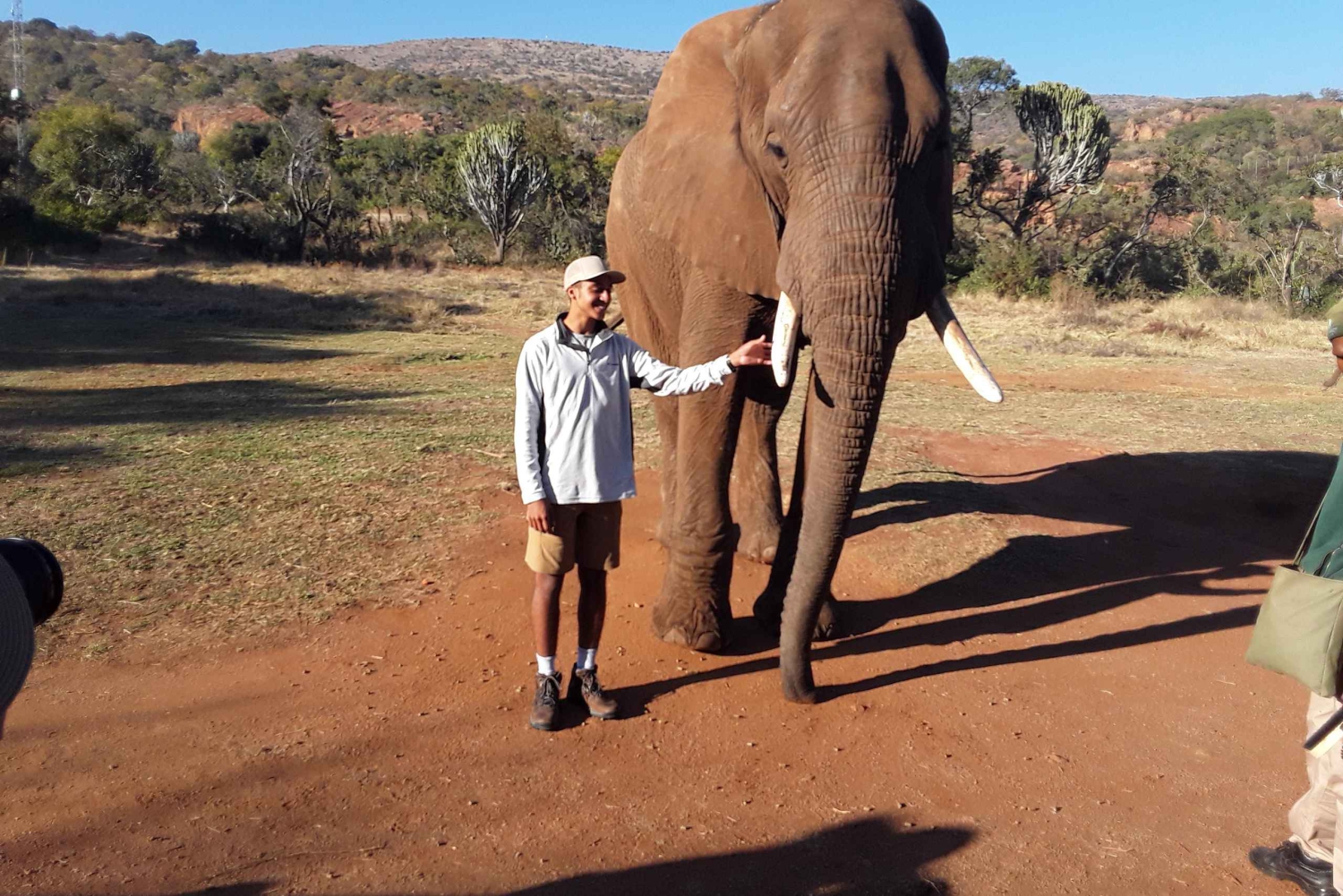 Il Santuario degli elefanti e delle scimmie.